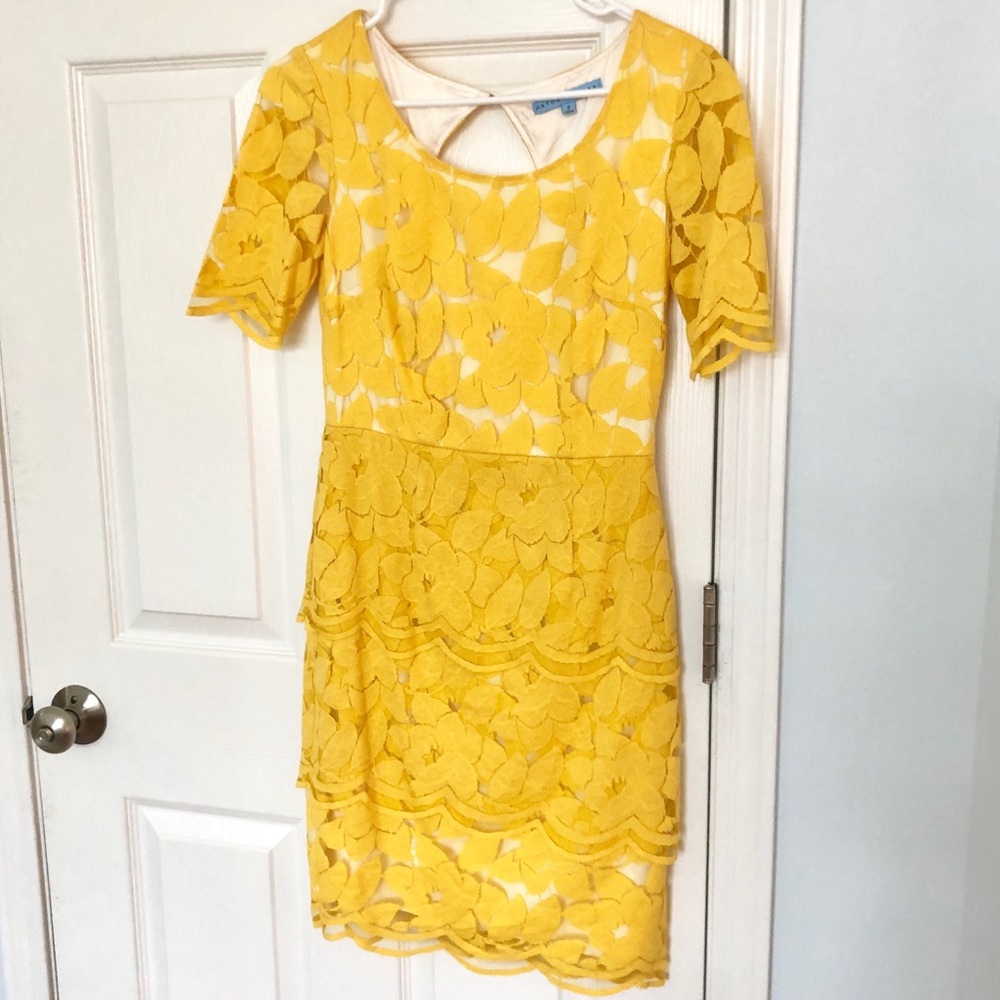 Dandelion yellow scalloped layer dress